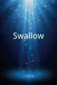 Kate Fenwick Swallow