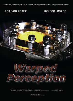 Warped Perception海报封面图