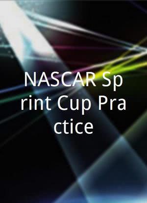 NASCAR Sprint Cup Practice海报封面图