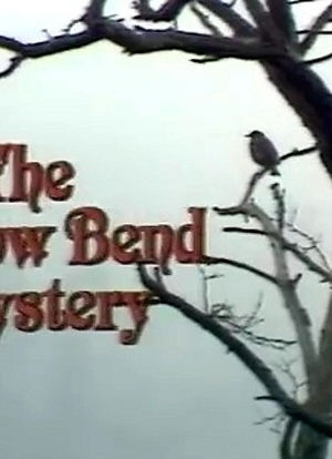The Willow Bend Mystery海报封面图
