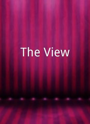 The View海报封面图