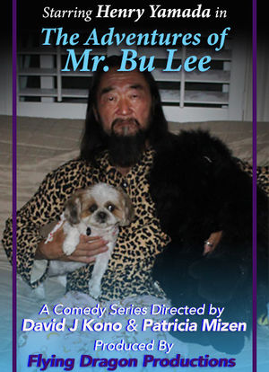 Mr. Bu Lee海报封面图