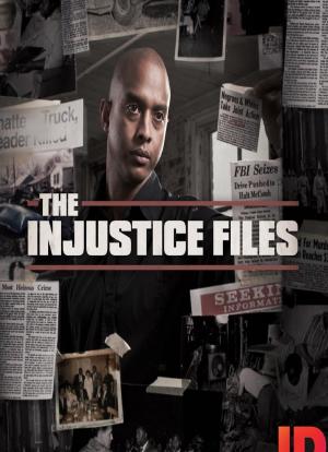 The Injustice Files海报封面图