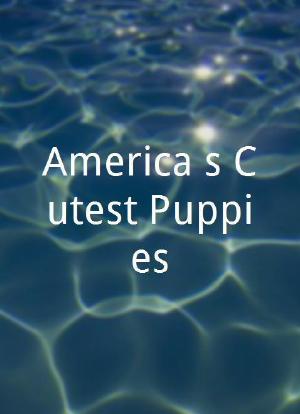 America's Cutest Puppies海报封面图