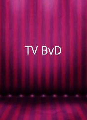 TV BvD海报封面图