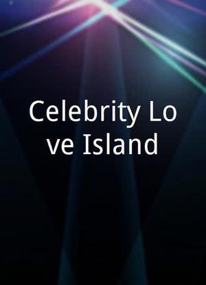 Celebrity Love Island海报封面图