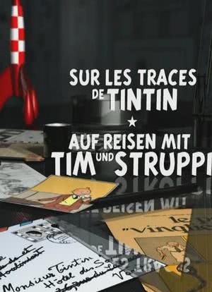 Sur les traces de Tintin海报封面图