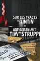 Philippe Rambaud Sur les traces de Tintin