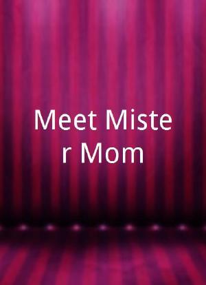 Meet Mister Mom海报封面图