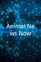 Asher Witwicki-Fishman Animal News Now