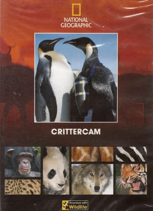 Crittercam海报封面图