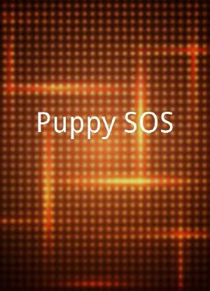 Puppy SOS海报封面图