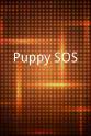 Brad Pattison Puppy SOS