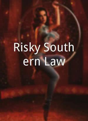 Risky Southern Law海报封面图