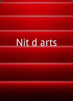 Nit d'arts海报封面图