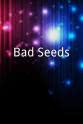 Paula Hoffmann Bad Seeds