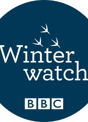 Winterwatch海报封面图