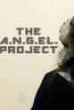 Jennifer Graff The Angel Project