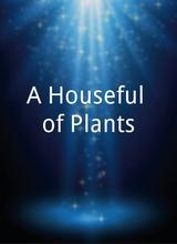 A Houseful of Plants