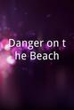 Martin Hicks Danger on the Beach