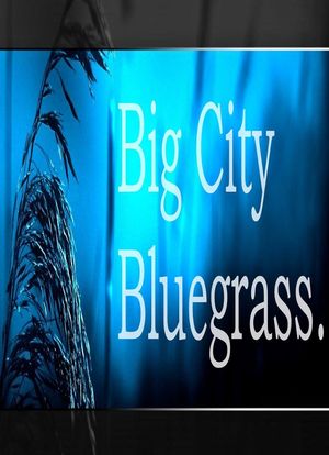 Big City Bluegrass海报封面图