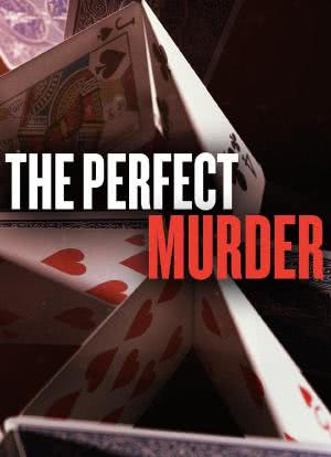 完美谋杀案 第一季海报封面图