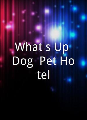 What`s Up Dog, Pet Hotel海报封面图
