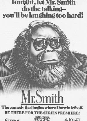 Mr. Smith海报封面图
