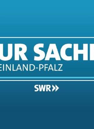 Zur Sache Rheinland-Pfalz!海报封面图