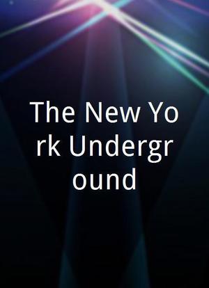 The New York Underground海报封面图