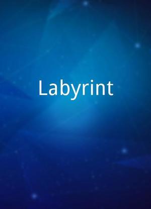 Labyrint海报封面图