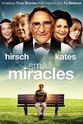 Paul Mones Small Miracles