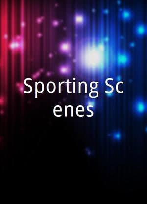 Sporting Scenes海报封面图