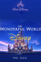 J·麦迪逊·赖特 The Wonderful World of Disney