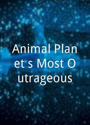 Animal Planet`s Most Outrageous海报封面图