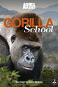 Madeleine Farley Gorilla School