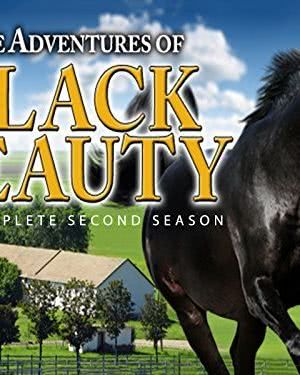 The New Adventures of Black Beauty海报封面图