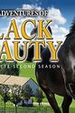 Henry Salter The New Adventures of Black Beauty