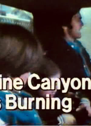 Pine Canyon Is Burning海报封面图