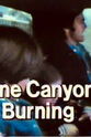 Larry Delaney Pine Canyon Is Burning