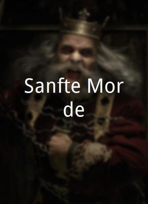 Sanfte Morde海报封面图