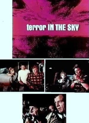 Terror in the Sky海报封面图