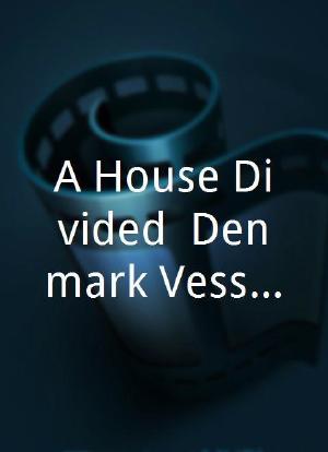 A House Divided: Denmark Vessey`s Rebellion海报封面图