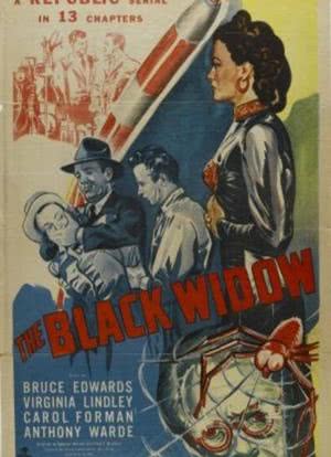 Black Widow海报封面图