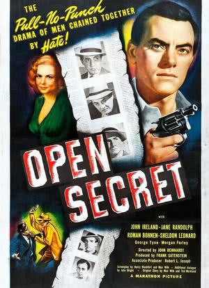 Open Secret海报封面图