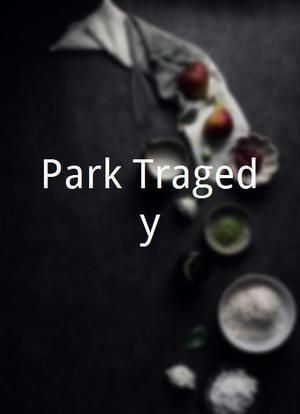 Park Tragedy海报封面图