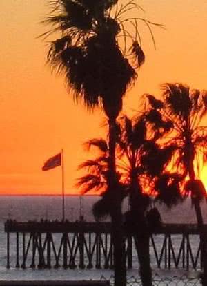 Sun Set Ventura海报封面图