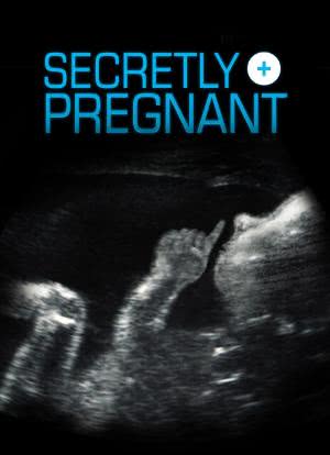Secretly Pregnant海报封面图