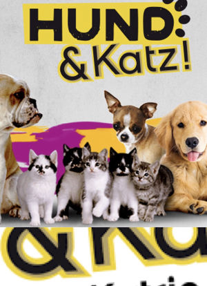 Hund & Katz海报封面图