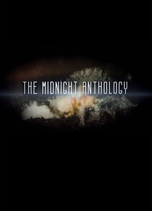 The Midnight Anthology海报封面图